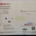 GRS2013-101444